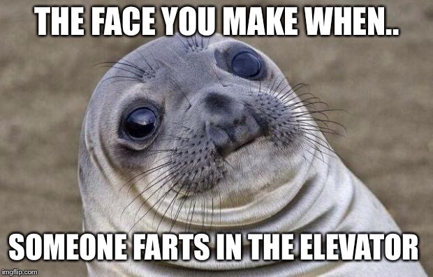 The face you make when.. | THE FACE YOU MAKE WHEN.. SOMEONE FARTS IN THE ELEVATOR | image tagged in memes,awkward moment sealion | made w/ Imgflip meme maker