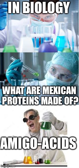 What are Mexican proteins made of? | IN BIOLOGY; WHAT ARE MEXICAN PROTEINS MADE OF? AMIGO-ACIDS | image tagged in bad pun scientist,biology,what are mexican proteins made of | made w/ Imgflip meme maker