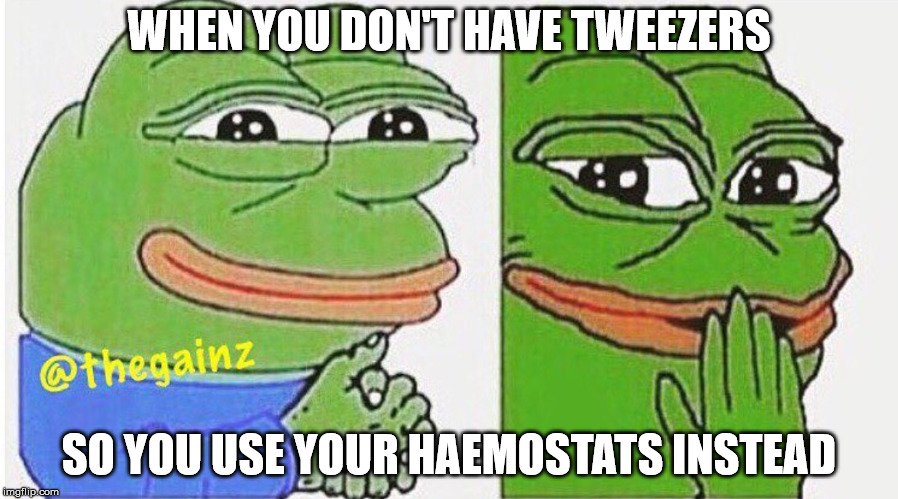 Sneaky Pepe | WHEN YOU DON'T HAVE TWEEZERS; SO YOU USE YOUR HAEMOSTATS INSTEAD | image tagged in sneaky pepe | made w/ Imgflip meme maker