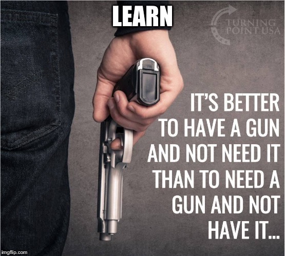 Gun Control | LEARN | image tagged in gun control | made w/ Imgflip meme maker