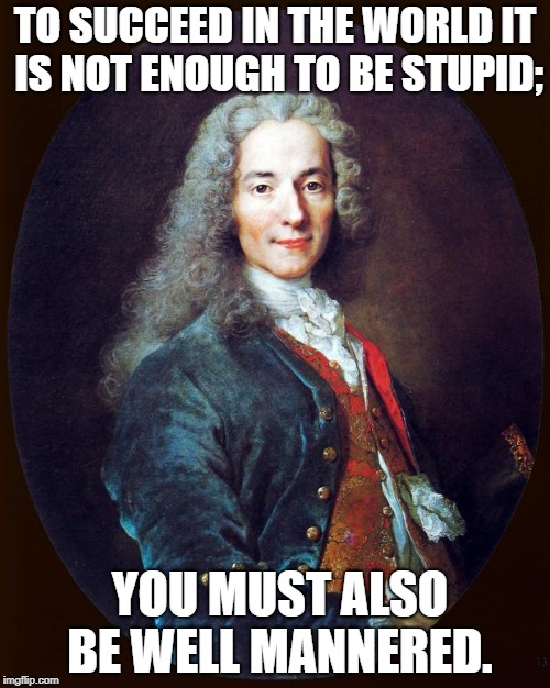 voltaire | TO SUCCEED IN THE WORLD IT IS NOT ENOUGH TO BE STUPID;; YOU MUST ALSO BE WELL MANNERED. | image tagged in voltaire | made w/ Imgflip meme maker