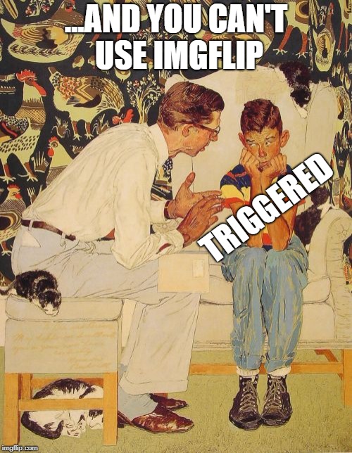 You can't use FACEBOOK, YOUTUBE, MINECRAFT... | ...AND YOU CAN'T USE IMGFLIP; TRIGGERED | image tagged in memes,the problem is | made w/ Imgflip meme maker