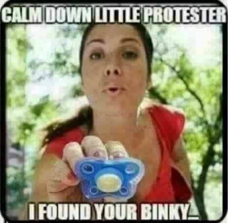 protestor binky Blank Meme Template