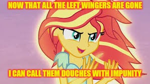 NOW THAT ALL THE LEFT WINGERS ARE GONE I CAN CALL THEM DOUCHES WITH IMPUNITY | made w/ Imgflip meme maker