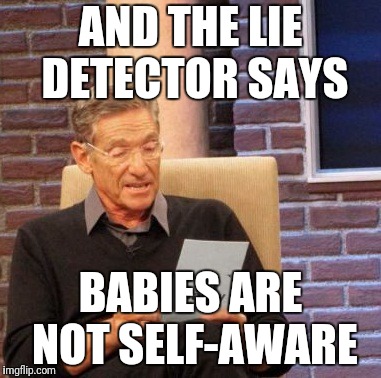 Maury Lie Detector Meme | AND THE LIE DETECTOR SAYS BABIES ARE NOT SELF-AWARE | image tagged in memes,maury lie detector | made w/ Imgflip meme maker