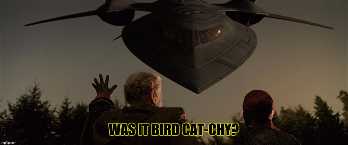 WAS IT BIRD CAT-CHY? | made w/ Imgflip meme maker