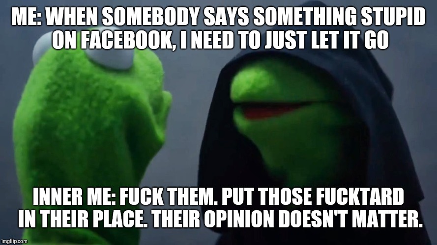 Kermit Inner Me | ME: WHEN SOMEBODY SAYS SOMETHING STUPID ON FACEBOOK, I NEED TO JUST LET IT GO; INNER ME: FUCK THEM. PUT THOSE FUCKTARD IN THEIR PLACE. THEIR OPINION DOESN'T MATTER. | image tagged in kermit inner me | made w/ Imgflip meme maker