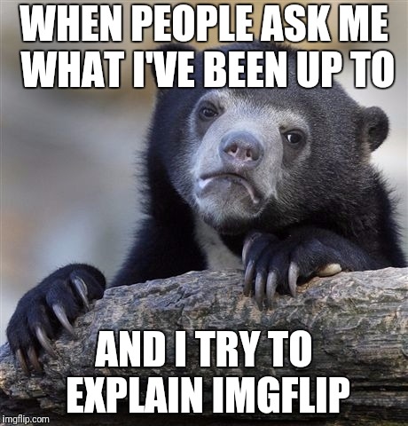 Confession Bear Meme | WHEN PEOPLE ASK ME WHAT I'VE BEEN UP TO AND I TRY TO EXPLAIN IMGFLIP | image tagged in memes,confession bear | made w/ Imgflip meme maker