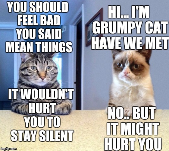 Take a seat cat and grumpy cat review | YOU SHOULD FEEL BAD YOU SAID MEAN THINGS NO.. BUT IT MIGHT HURT YOU HI... I'M GRUMPY CAT HAVE WE MET IT WOULDN'T HURT YOU TO STAY SILENT | image tagged in take a seat cat and grumpy cat review | made w/ Imgflip meme maker