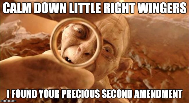 CALM DOWN LITTLE RIGHT WINGERS I FOUND YOUR PRECIOUS SECOND AMENDMENT | made w/ Imgflip meme maker