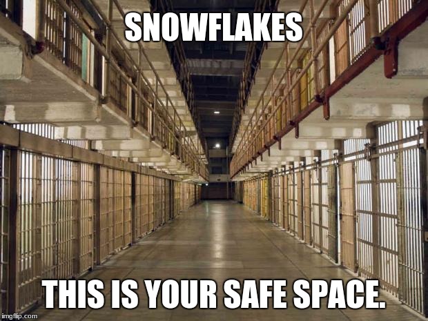 Prison | SNOWFLAKES; THIS IS YOUR SAFE SPACE. | image tagged in prison | made w/ Imgflip meme maker
