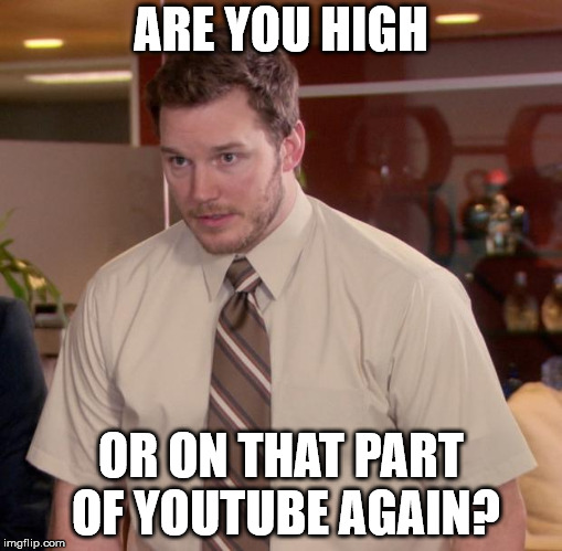 Afraid To Ask Andy | ARE YOU HIGH; OR ON THAT PART OF YOUTUBE AGAIN? | image tagged in memes,afraid to ask andy | made w/ Imgflip meme maker