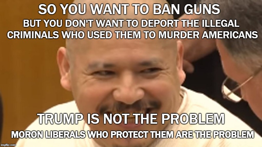 California the Sanctuary state of decay | SO YOU WANT TO BAN GUNS; BUT YOU DON'T WANT TO DEPORT THE ILLEGAL CRIMINALS WHO USED THEM TO MURDER AMERICANS; TRUMP IS NOT THE PROBLEM; MORON LIBERALS WHO PROTECT THEM ARE THE PROBLEM | image tagged in killer in the house,jerry the clown brown,killafornia,anti trump | made w/ Imgflip meme maker
