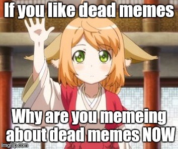 If you like dead memes Why are you memeing about dead memes NOW | made w/ Imgflip meme maker