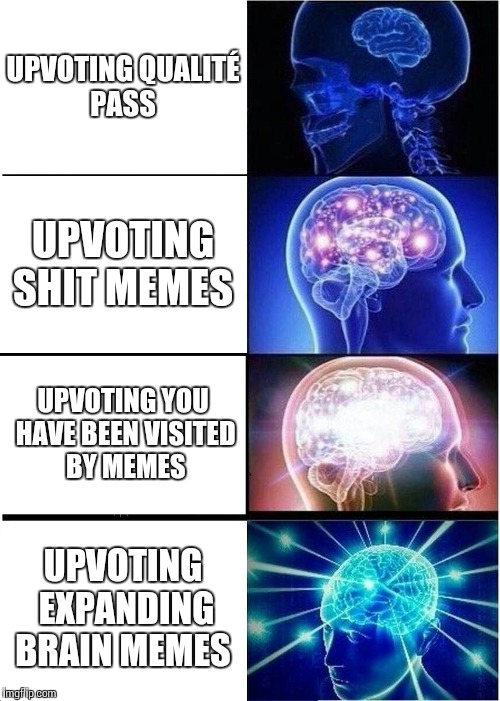 Expanding Brain | UPVOTING QUALITÉ PASS; UPVOTING SHIT MEMES; UPVOTING YOU HAVE BEEN VISITED BY MEMES; UPVOTING EXPANDING BRAIN MEMES | image tagged in memes,expanding brain | made w/ Imgflip meme maker