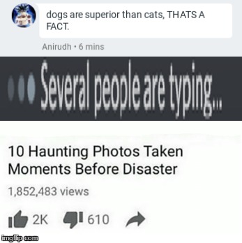 Abusing this Template | image tagged in 10 haunting photos taken moments before disaster,cats,dogs,several people are typing | made w/ Imgflip meme maker