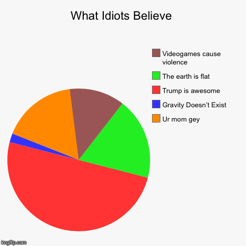 (American) Idiots in a nutshell | What Idiots Believe | Ur mom gey, Gravity Doesn’t Exist, Trump is awesome, The earth is flat, Videogames cause violence | image tagged in funny,pie charts,america,idiots,flat earth,donald trump | made w/ Imgflip chart maker