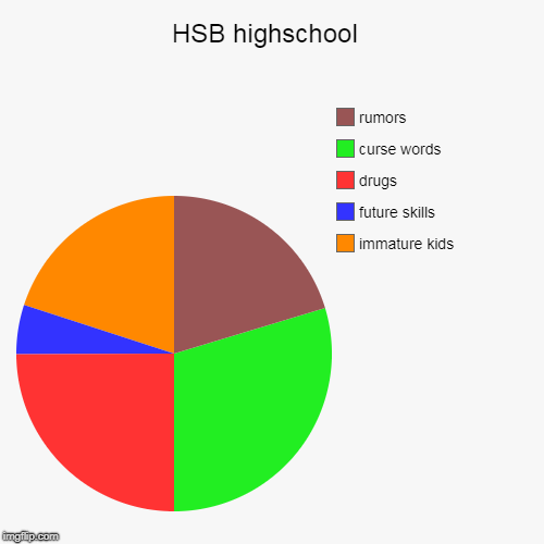 HSB highschool  | immature kids, future skills , drugs, curse words, rumors | image tagged in funny,pie charts | made w/ Imgflip chart maker