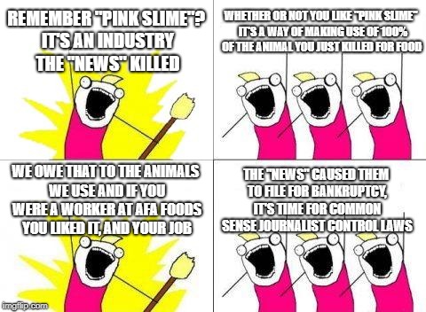 Pink Slimed | REMEMBER "PINK SLIME"? IT'S AN INDUSTRY THE "NEWS" KILLED; WHETHER OR NOT YOU LIKE "PINK SLIME"  IT'S A WAY OF MAKING USE OF 100% OF THE ANIMAL YOU JUST KILLED FOR FOOD; THE "NEWS" CAUSED THEM TO FILE FOR BANKRUPTCY, IT'S TIME FOR COMMON SENSE JOURNALIST CONTROL LAWS; WE OWE THAT TO THE ANIMALS WE USE AND IF YOU WERE A WORKER AT AFA FOODS YOU LIKED IT, AND YOUR JOB | image tagged in memes,what do we want,fake news | made w/ Imgflip meme maker