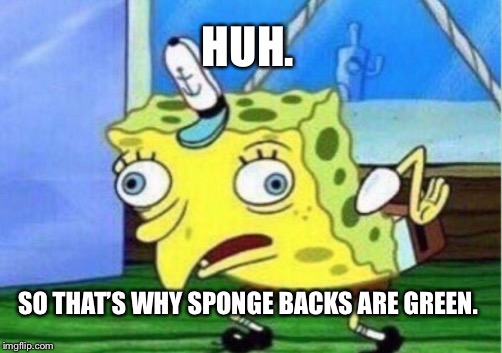 HUH. SO THAT’S WHY SPONGE BACKS ARE GREEN. | image tagged in memes,mocking spongebob | made w/ Imgflip meme maker