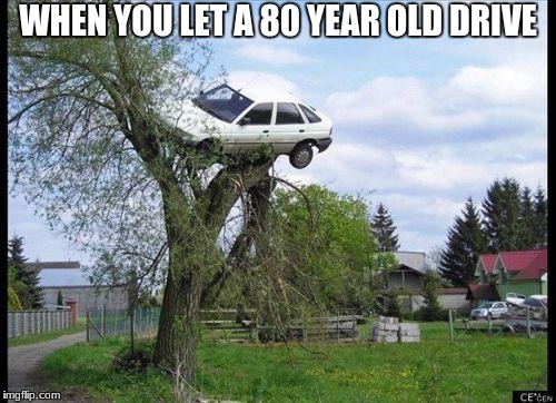 car in tree | WHEN YOU LET A 80 YEAR OLD DRIVE | image tagged in car in tree | made w/ Imgflip meme maker