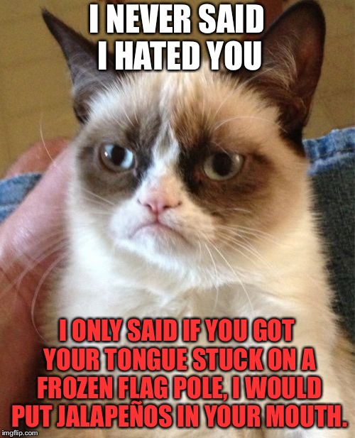 I triple cat dare ya | I NEVER SAID I HATED YOU; I ONLY SAID IF YOU GOT YOUR TONGUE STUCK ON A FROZEN FLAG POLE, I WOULD PUT JALAPEÑOS IN YOUR MOUTH. | image tagged in memes,grumpy cat,a christmas story,hot,frozen,burn | made w/ Imgflip meme maker