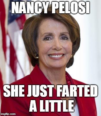 Nancy's New Campaign Poster | NANCY PELOSI; SHE JUST FARTED A LITTLE | image tagged in memes,nancy pelosi,nancy pelosi wtf,farted,fart jokes,campaign | made w/ Imgflip meme maker