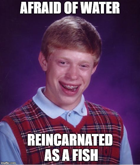 Bad Luck Brian | AFRAID OF WATER; REINCARNATED AS A FISH | image tagged in memes,bad luck brian | made w/ Imgflip meme maker