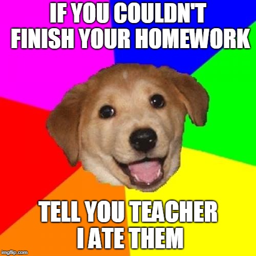 Advice Dog Meme | IF YOU COULDN'T FINISH YOUR HOMEWORK; TELL YOU TEACHER I ATE THEM | image tagged in memes,advice dog | made w/ Imgflip meme maker