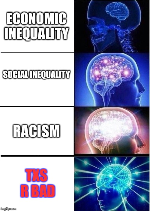 Starting a revolution because... | ECONOMIC INEQUALITY; SOCIAL INEQUALITY; RACISM; TXS R BAD | image tagged in memes,expanding brain | made w/ Imgflip meme maker