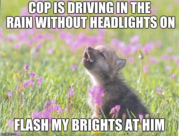 Baby Insanity Wolf Meme | COP IS DRIVING IN THE RAIN WITHOUT HEADLIGHTS ON; FLASH MY BRIGHTS AT HIM | image tagged in memes,baby insanity wolf | made w/ Imgflip meme maker