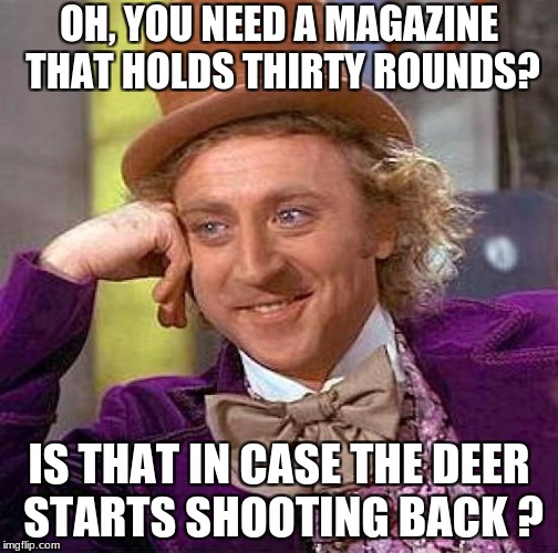 Gun control is buns | OH, YOU NEED A MAGAZINE THAT HOLDS THIRTY ROUNDS? IS THAT IN CASE THE DEER STARTS SHOOTING BACK ? | image tagged in memes,creepy condescending wonka | made w/ Imgflip meme maker