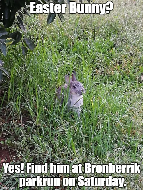 Easter Bunny | Easter Bunny? Yes! Find him at Bronberrik parkrun on Saturday. | image tagged in parkrun,bunny | made w/ Imgflip meme maker