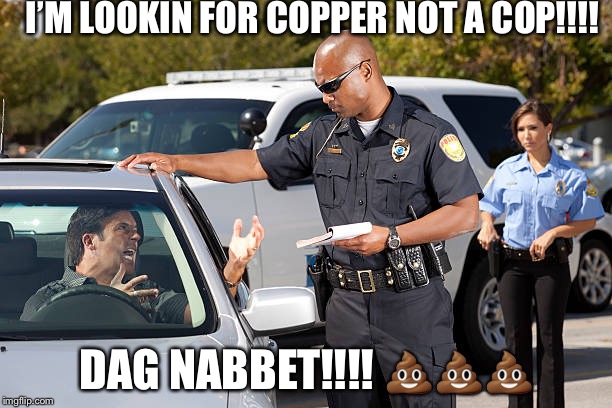copper top | I’M LOOKIN FOR COPPER NOT A COP!!!! DAG NABBET!!!! 💩💩💩 | image tagged in copper top | made w/ Imgflip meme maker