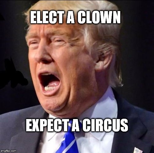 ELECT A CLOWN; EXPECT A CIRCUS | image tagged in trump | made w/ Imgflip meme maker