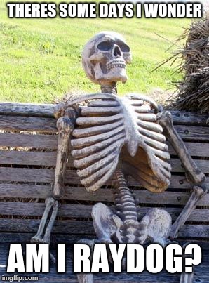Waiting Skeleton Meme | THERES SOME DAYS I WONDER; AM I RAYDOG? | image tagged in memes,waiting skeleton | made w/ Imgflip meme maker