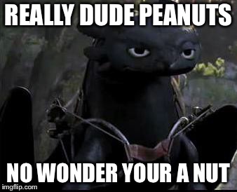 Bored Dragon | REALLY DUDE PEANUTS; NO WONDER YOUR A NUT | image tagged in bored dragon | made w/ Imgflip meme maker