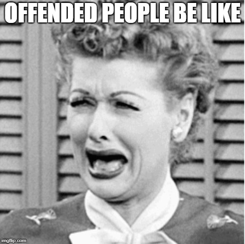Lucy crying | OFFENDED PEOPLE BE LIKE | image tagged in lucy crying | made w/ Imgflip meme maker