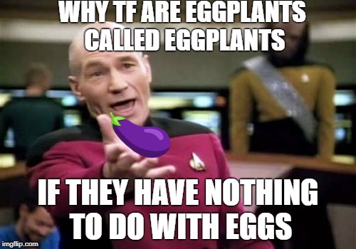 Eggplants Picard Wtf | WHY TF ARE EGGPLANTS CALLED EGGPLANTS; IF THEY HAVE NOTHING TO DO WITH EGGS | image tagged in memes,picard wtf | made w/ Imgflip meme maker