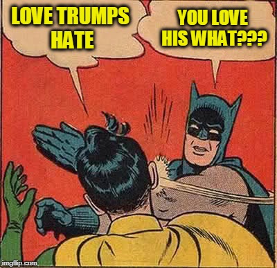 Batman Slapping Robin Meme | LOVE TRUMPS HATE; YOU LOVE HIS WHAT??? | image tagged in memes,batman slapping robin | made w/ Imgflip meme maker