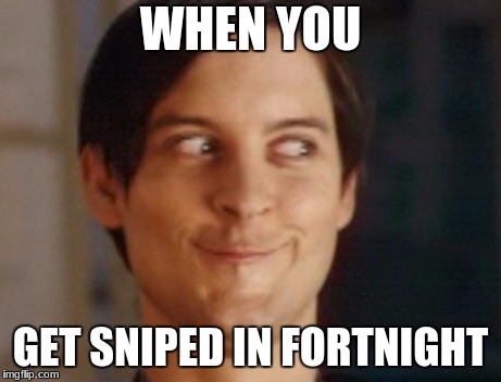 Spiderman Peter Parker Meme | WHEN YOU; GET SNIPED IN FORTNIGHT | image tagged in memes,spiderman peter parker | made w/ Imgflip meme maker