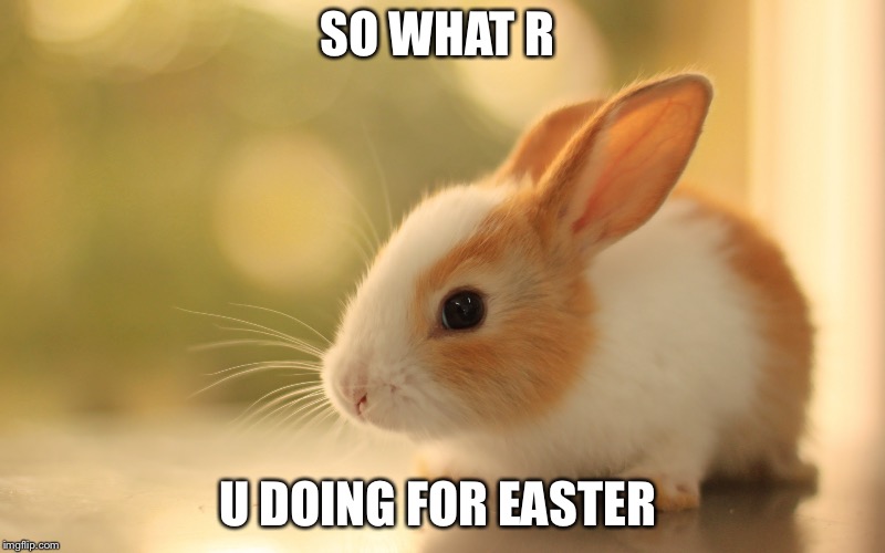 SO WHAT R U DOING FOR EASTER | made w/ Imgflip meme maker