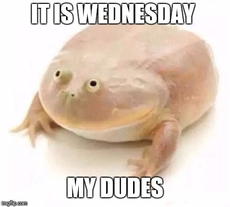 My Dudes | IT IS WEDNESDAY; MY DUDES | image tagged in my dudes | made w/ Imgflip meme maker