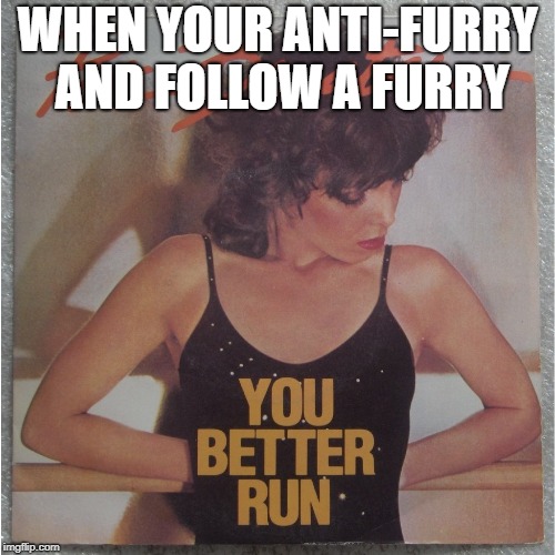 Me. | WHEN YOUR ANTI-FURRY AND FOLLOW A FURRY | image tagged in you better run,furry | made w/ Imgflip meme maker
