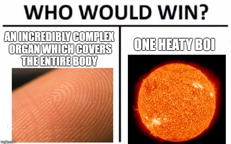 Who Would Win? Meme | AN INCREDIBLY COMPLEX ORGAN WHICH COVERS THE ENTIRE BODY; ONE HEATY BOI | image tagged in memes,who would win | made w/ Imgflip meme maker