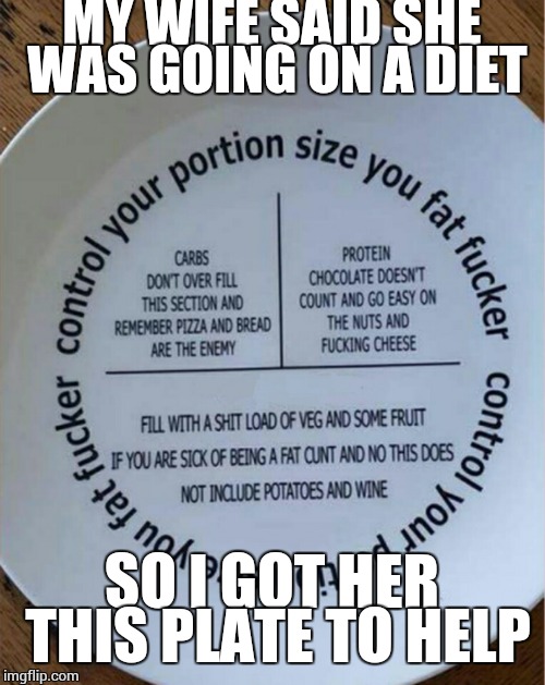 Do you think she'll like it? | MY WIFE SAID SHE WAS GOING ON A DIET; SO I GOT HER THIS PLATE TO HELP | image tagged in women,men,dieting,funny memes | made w/ Imgflip meme maker