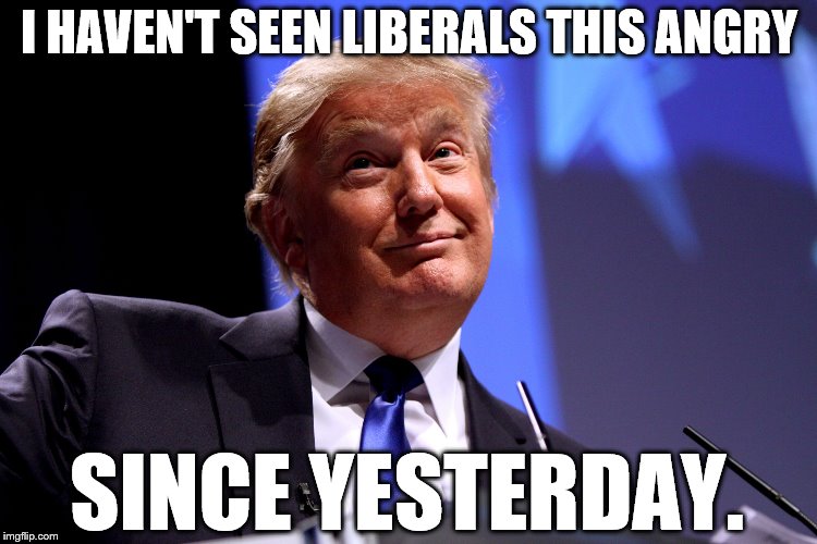 100% | I HAVEN'T SEEN LIBERALS THIS ANGRY; SINCE YESTERDAY. | image tagged in donald trump | made w/ Imgflip meme maker