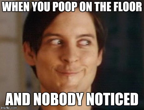 Spiderman Peter Parker | WHEN YOU POOP ON THE FLOOR; AND NOBODY NOTICED | image tagged in memes,spiderman peter parker | made w/ Imgflip meme maker