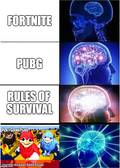 Expanding Brain | FORTNITE; PUBG; RULES OF SURVIVAL | image tagged in memes,expanding brain | made w/ Imgflip meme maker