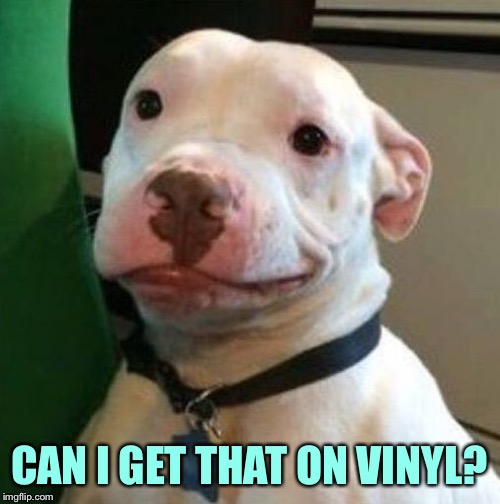 Awkward Dog | CAN I GET THAT ON VINYL? | image tagged in awkward dog | made w/ Imgflip meme maker